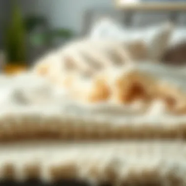 Notable The King Size Soft Fuzzy Blanket: A Comprehensive Examination