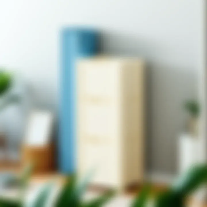 The Multifaceted Utility of Tall Storage Bins Summary