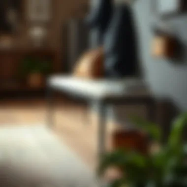 Notable The Multifunctionality of the Hall Coat Bench Notable The Multifunctionality of the Hall Coat Bench