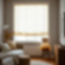 The Role of Nursery Blackout Roman Shades in Design and Functionality Introduction