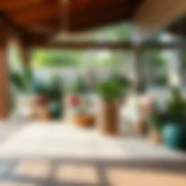 The Versatility and Utility of Outdoor Rugs in Home Decor Summary The Versatility and Utility of Outdoor Rugs in Home Decor Summary