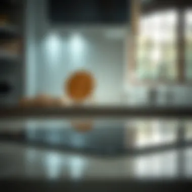 Notable Understanding Electric Stove Top Types: A Comprehensive Guide Notable Understanding Electric Stove Top Types: A Comprehensive Guide