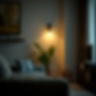 Notable Understanding Night Light Motion Sensors: Functionality and Applications Notable Understanding Night Light Motion Sensors: Functionality and Applications