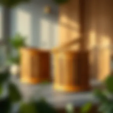 Wooden Trash Bins: A Sustainable Choice for Modern Spaces Introduction Wooden Trash Bins: A Sustainable Choice for Modern Spaces Introduction