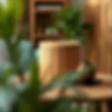 Notable Wooden Trash Bins: A Sustainable Choice for Modern Spaces Notable Wooden Trash Bins: A Sustainable Choice for Modern Spaces